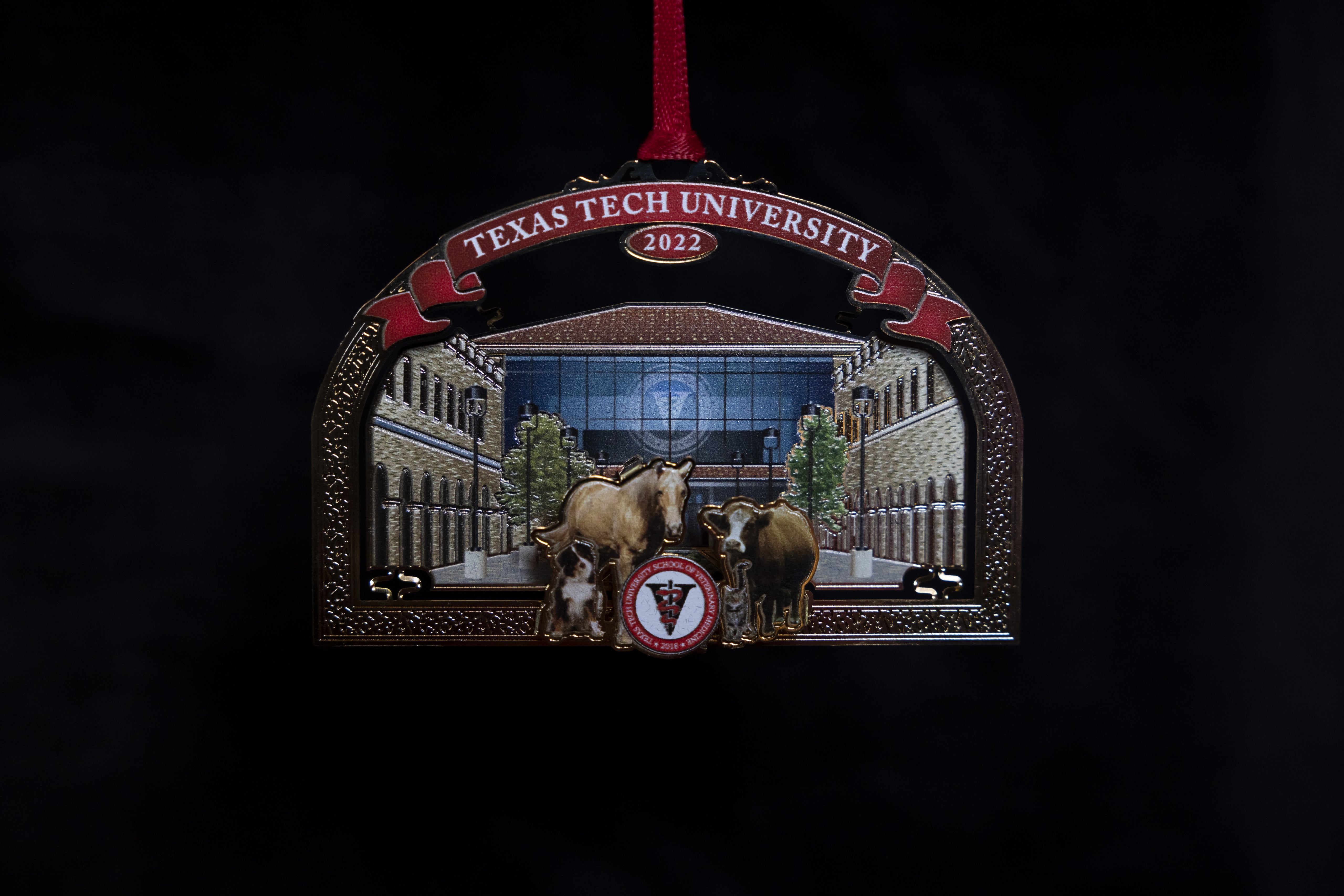 Texas Tech School of Veterinary Medicine Graduate Student