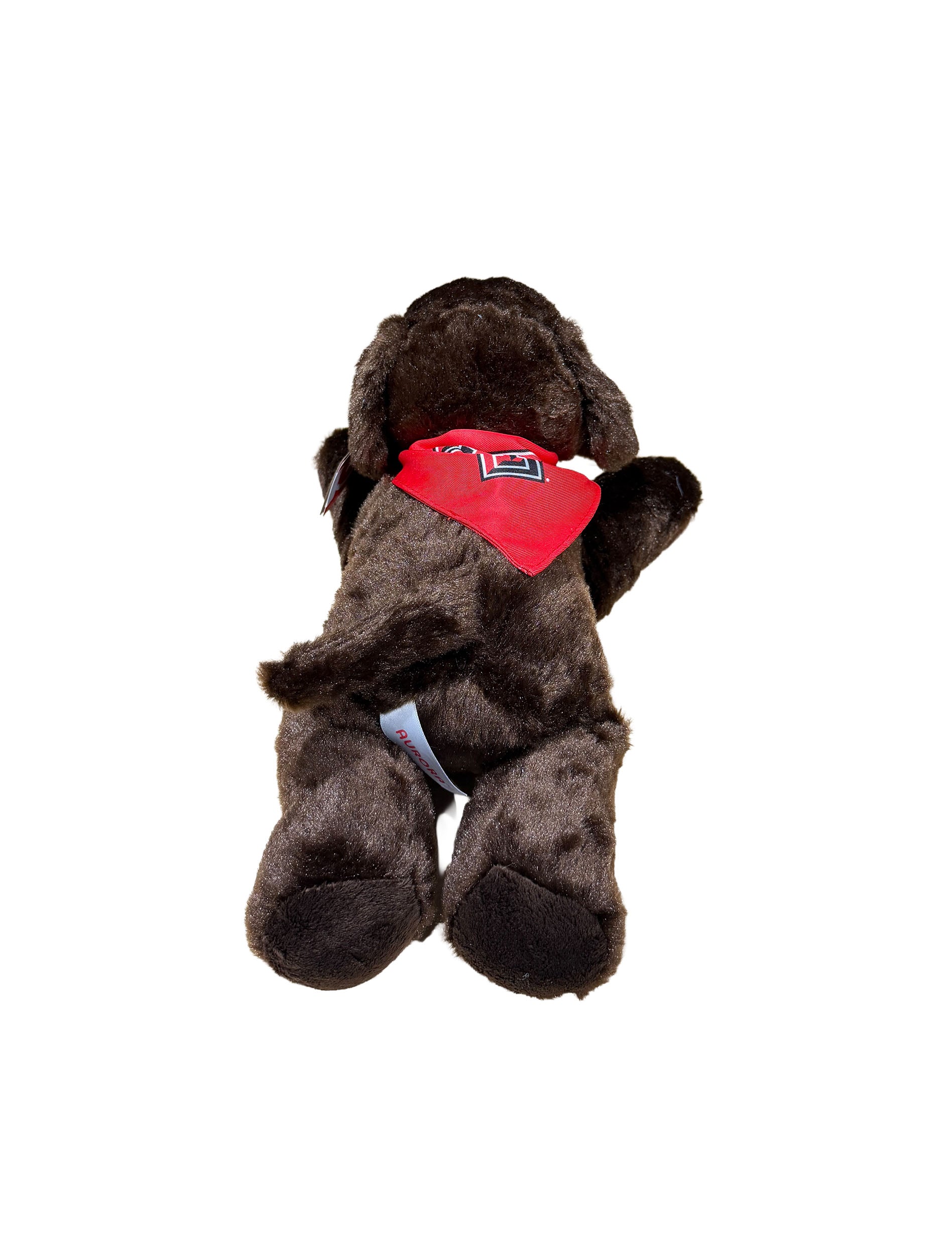 Chocolate Lab with Red Texas Tech Bandana - Top 