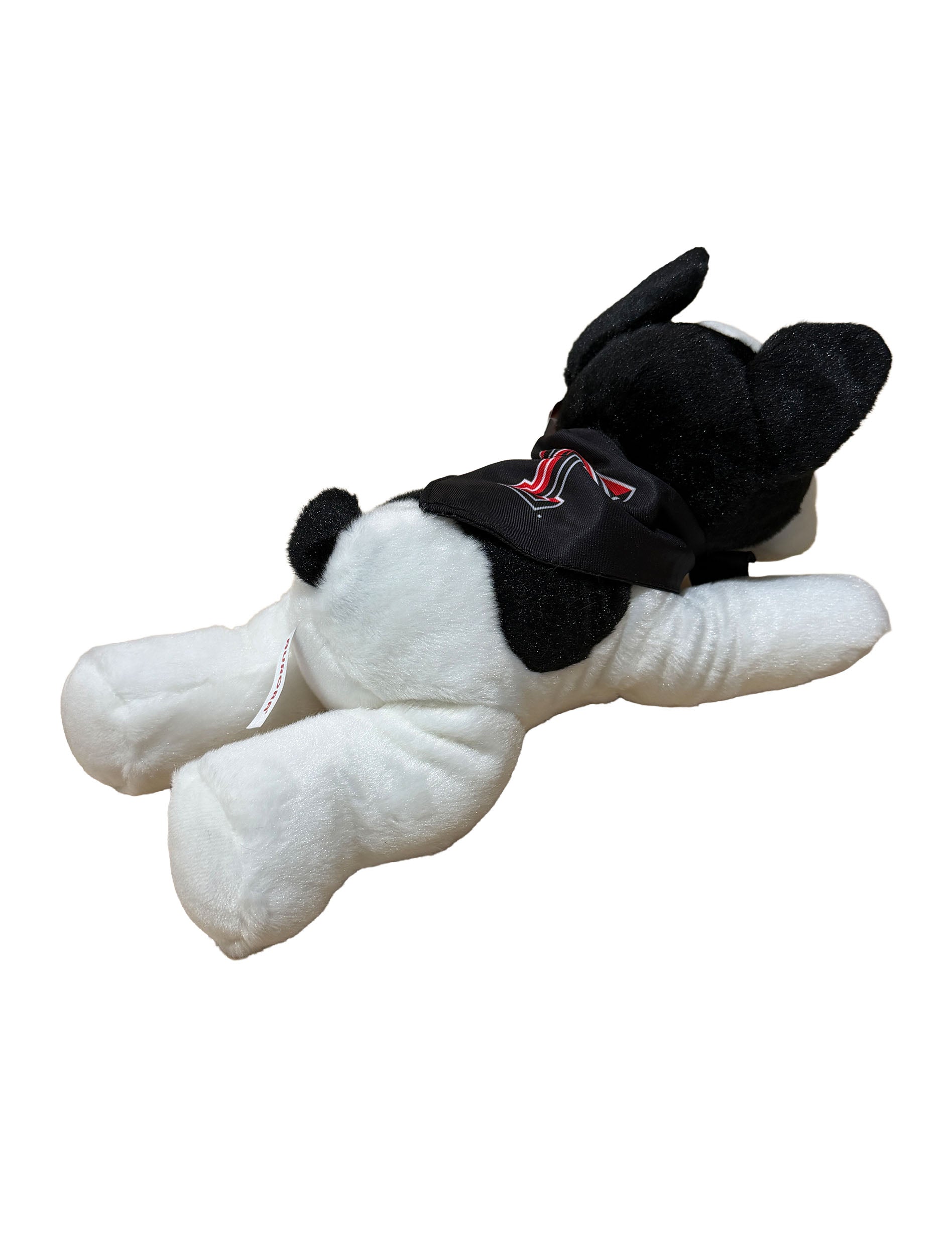 French Bulldog with Texas Tech Bandana - Back