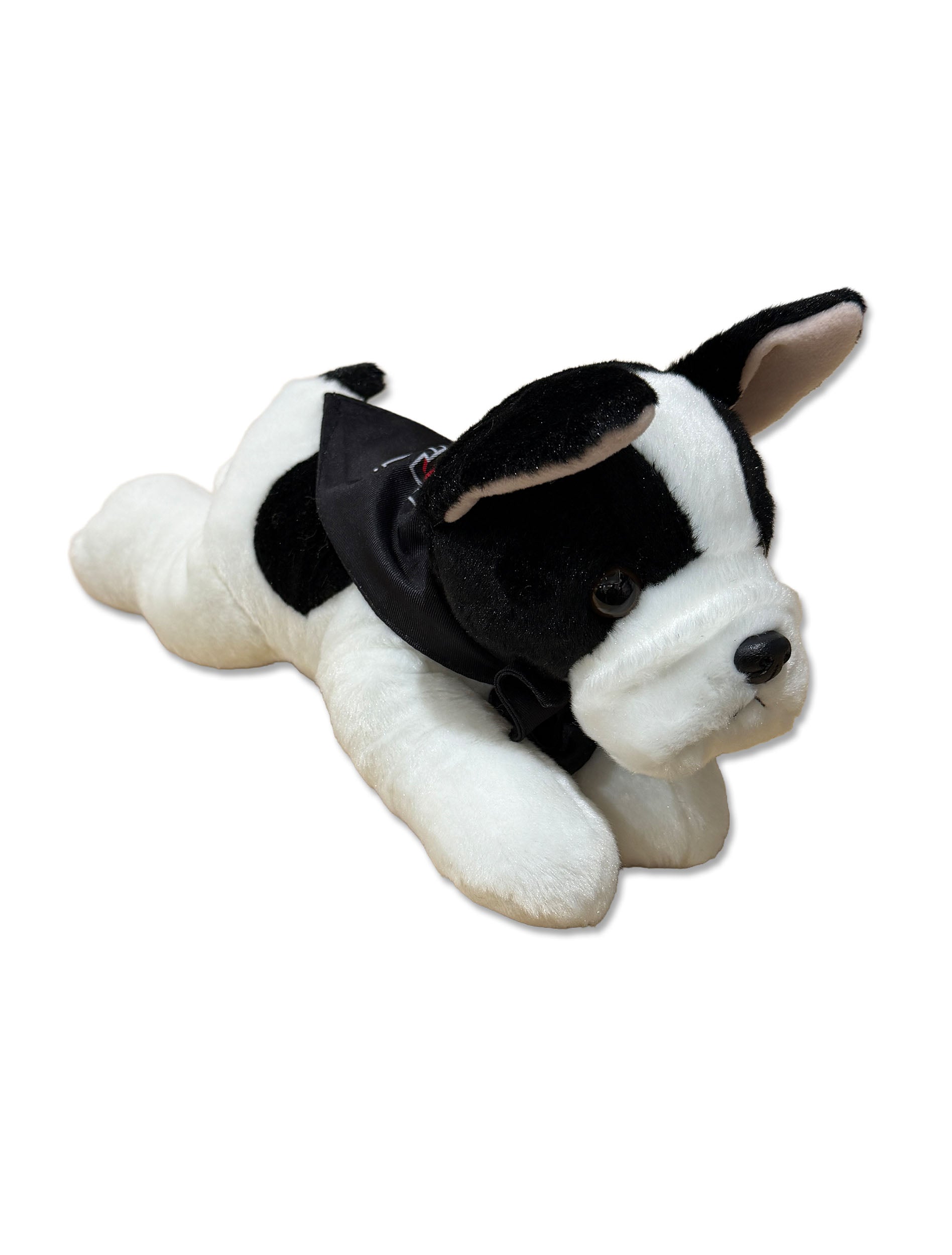French Bulldog with Texas Tech Bandana - Front