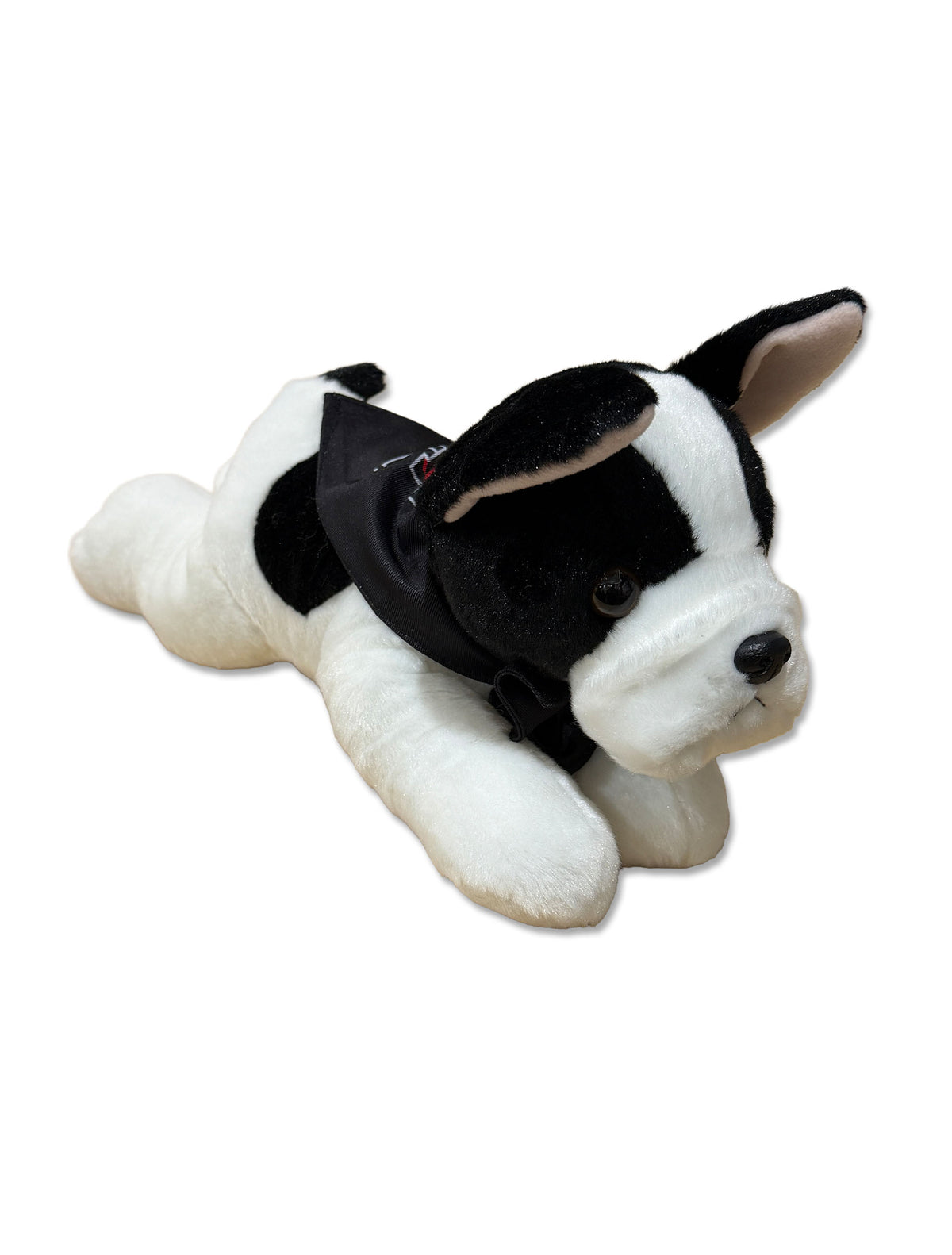 French Bulldog with Texas Tech Bandana - Front