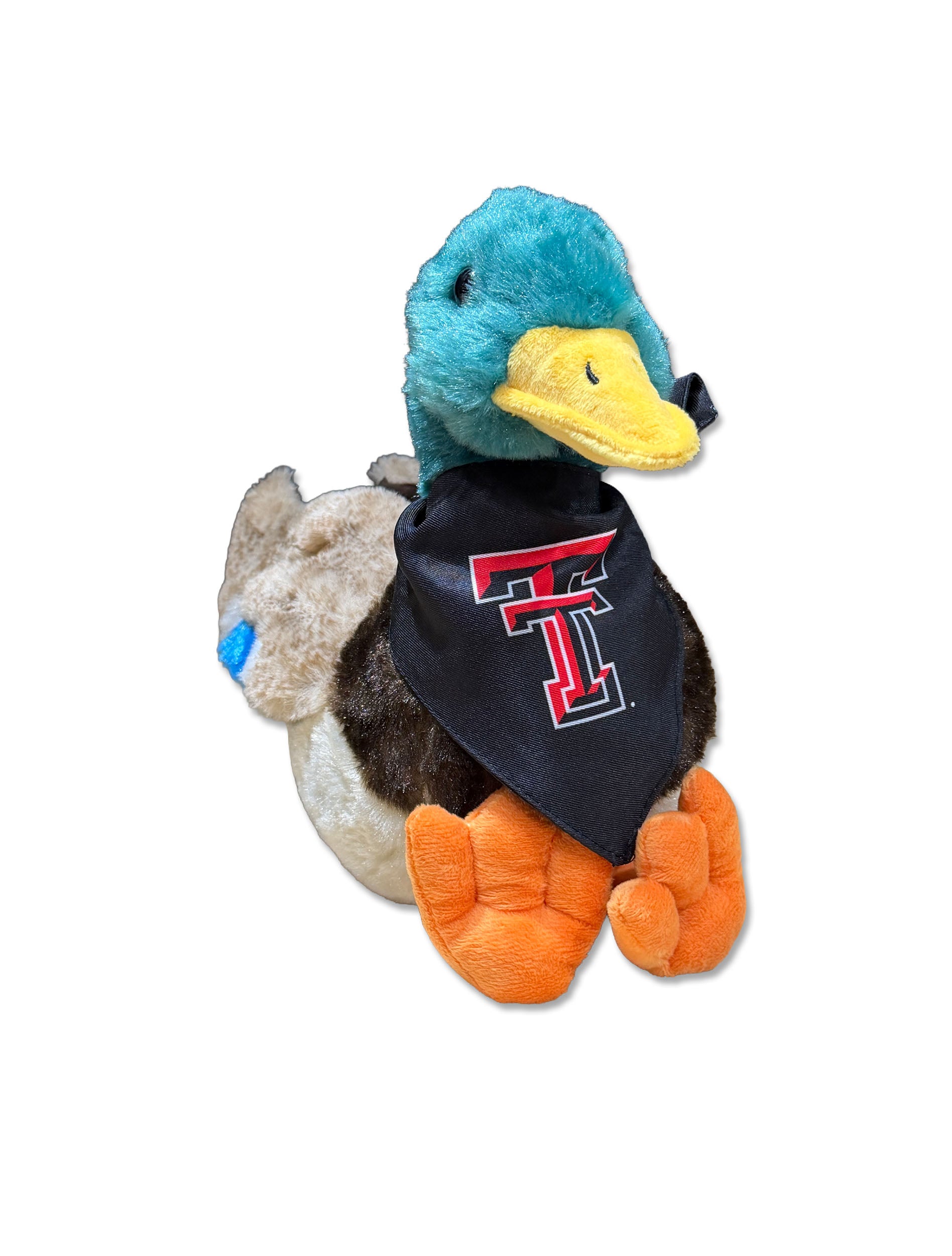 Mallard duck with Double T Bandana - Front