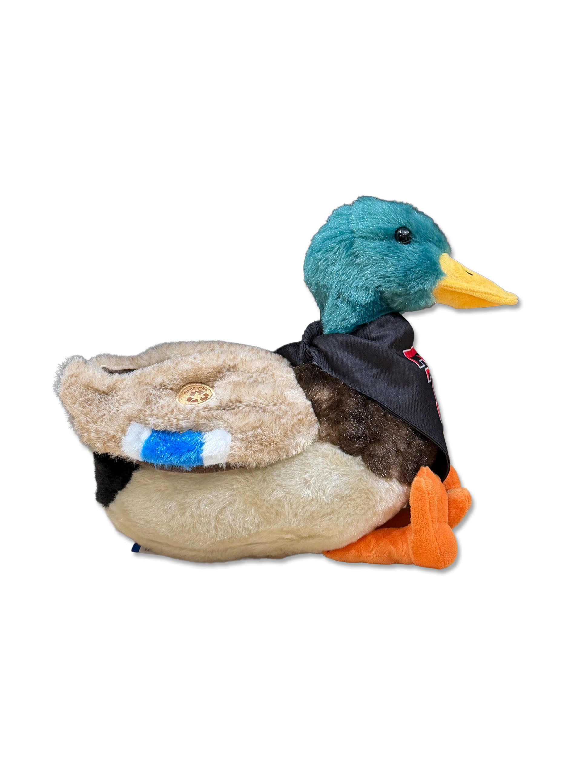 Mallard duck with Double T Bandana - Side