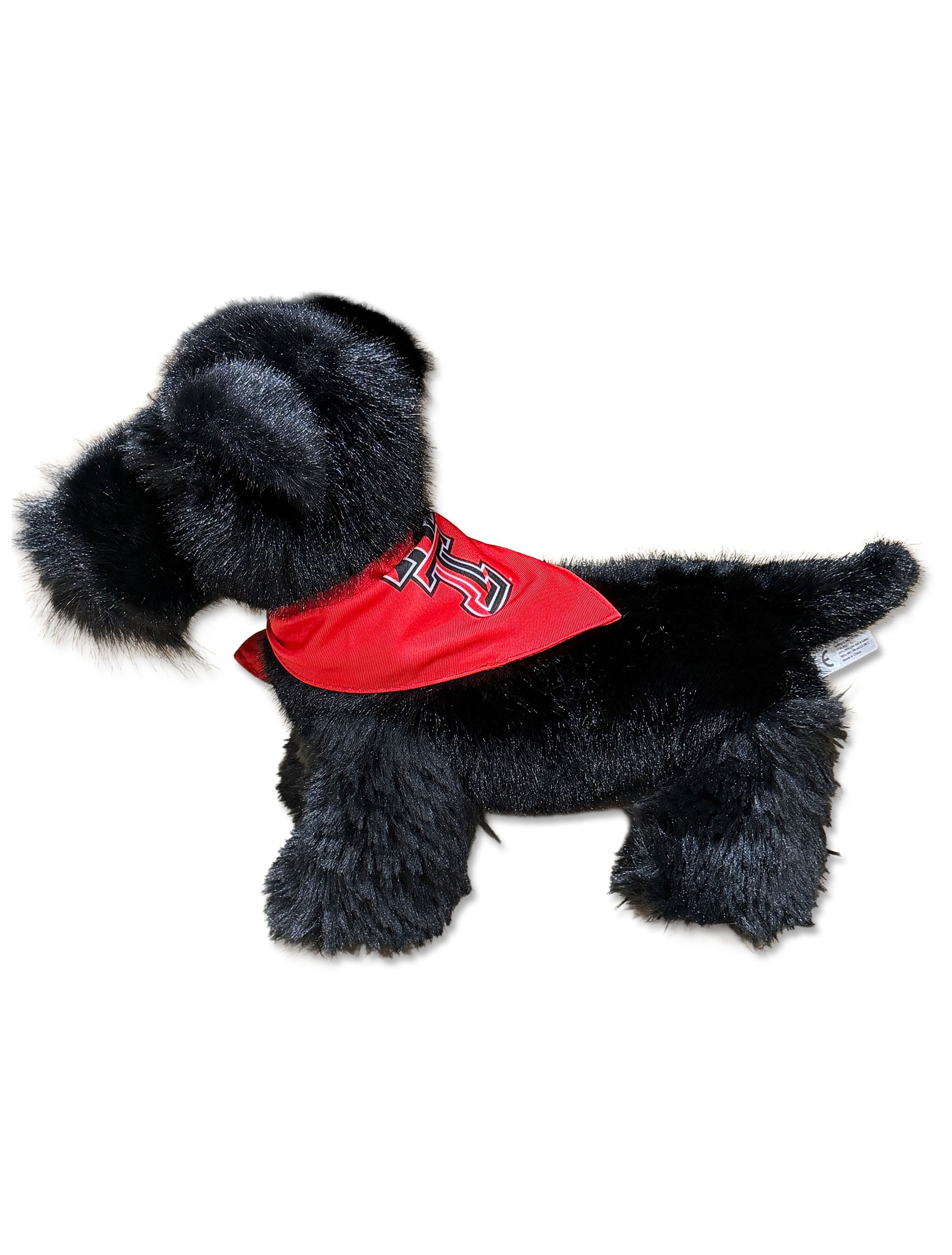 Texas Tech Scottish Terrier side View