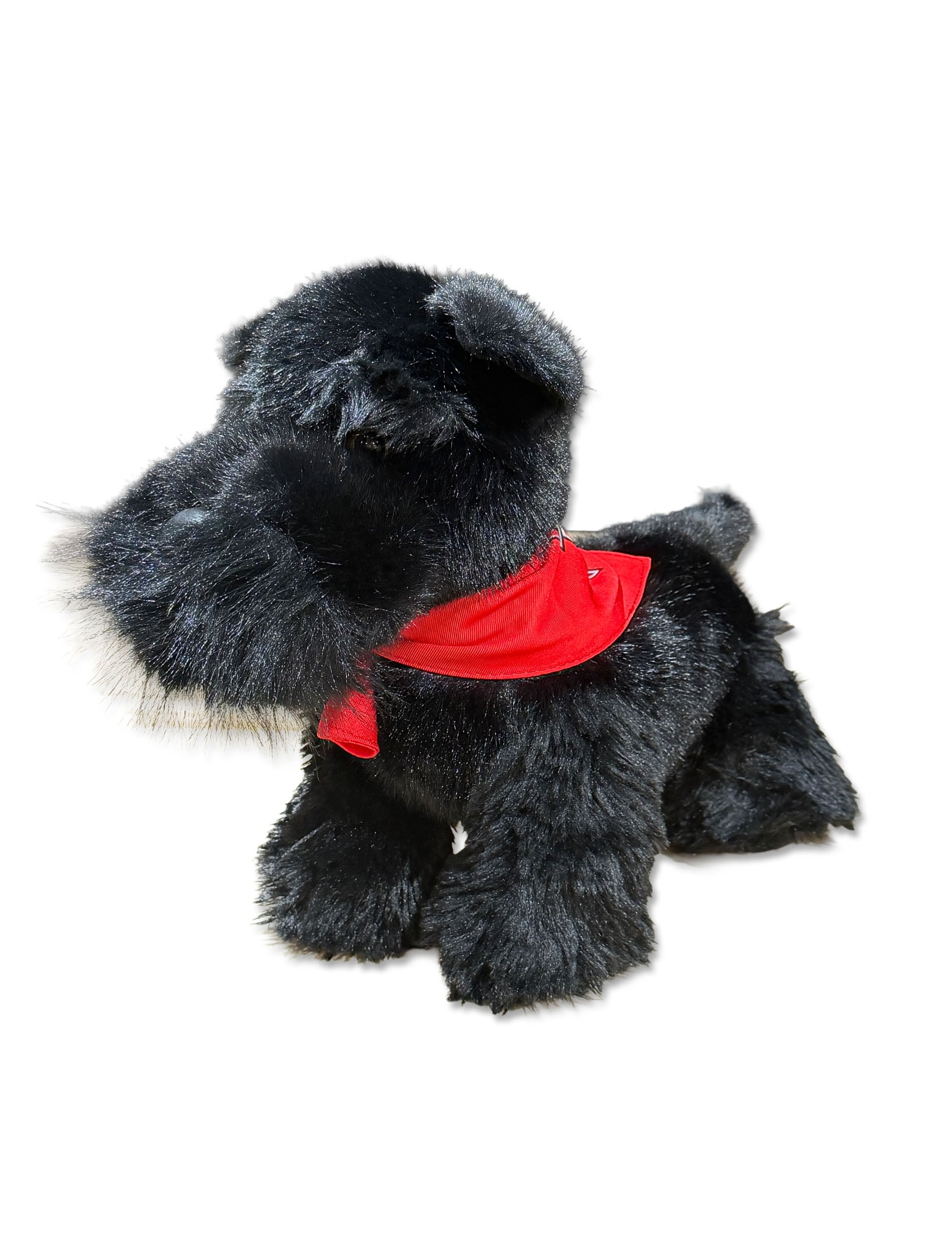 Texas Tech Scottish Terrier