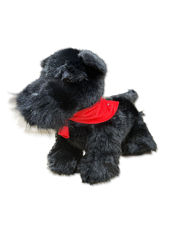 Texas Tech Scottish Terrier