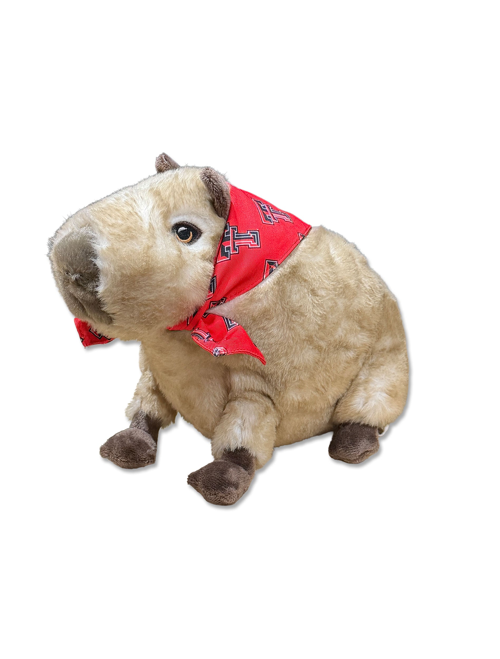 Texas Tech Capybara