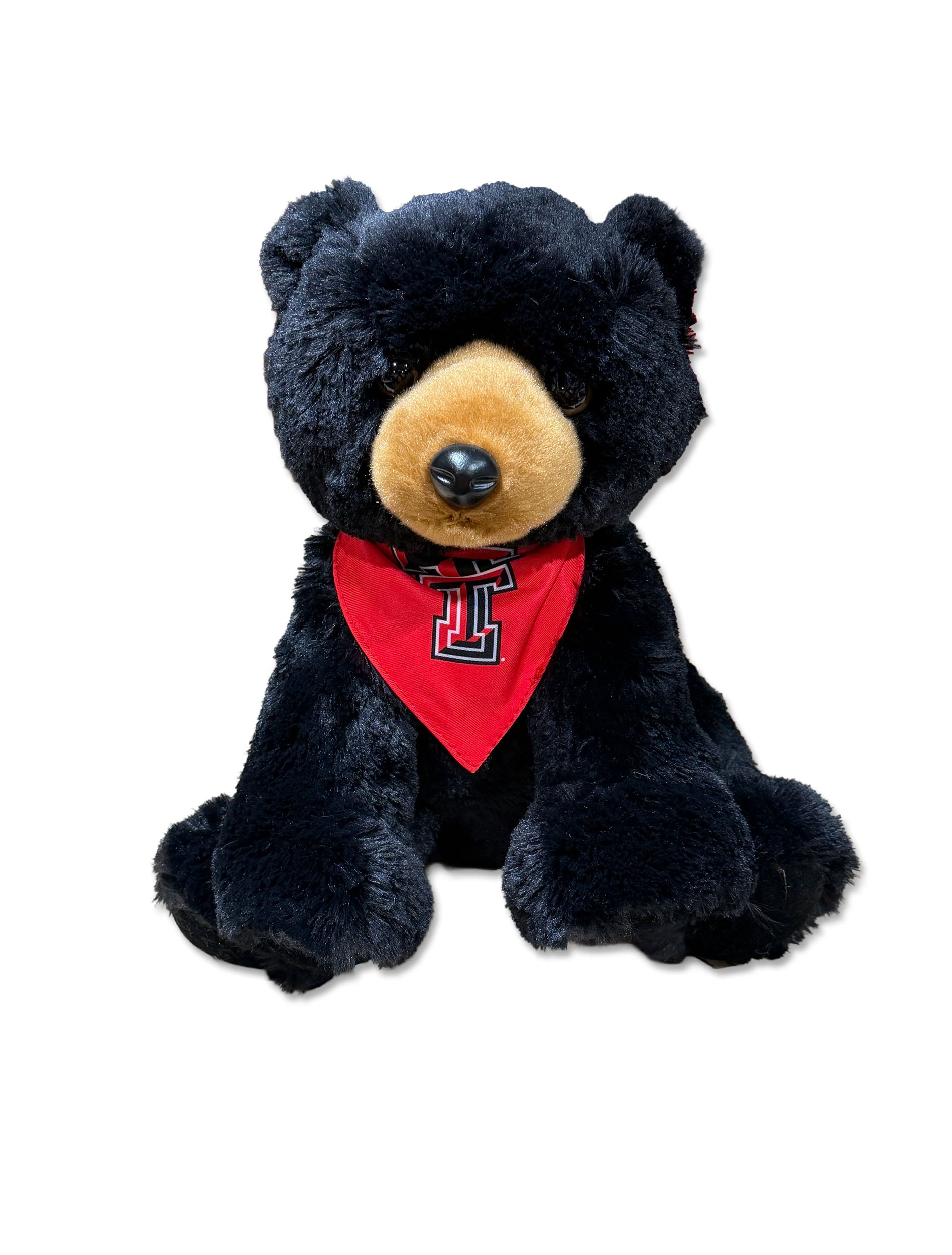 Black Bear with Texas Tech bandana