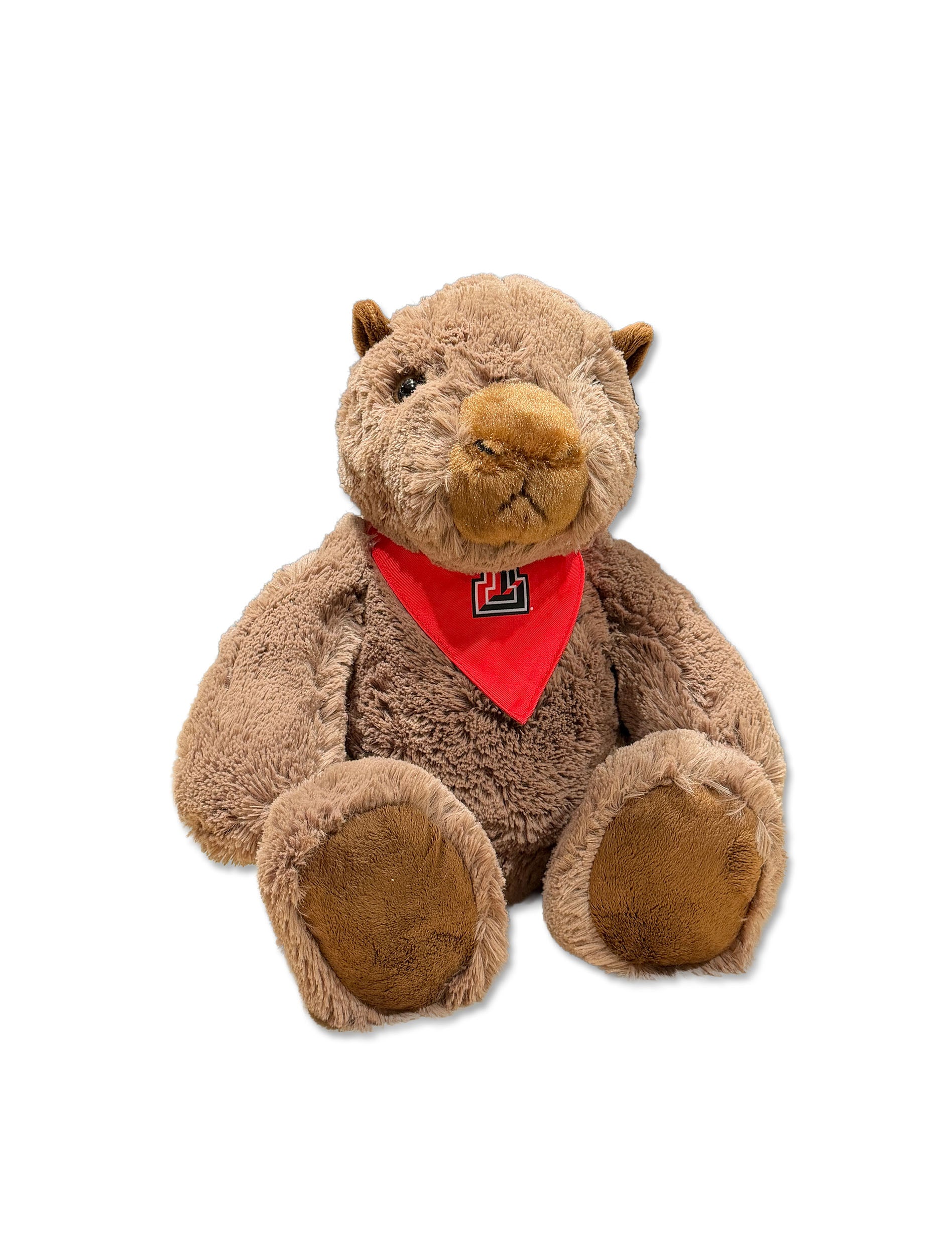 Capybara with Texas Tech Bandana - Front