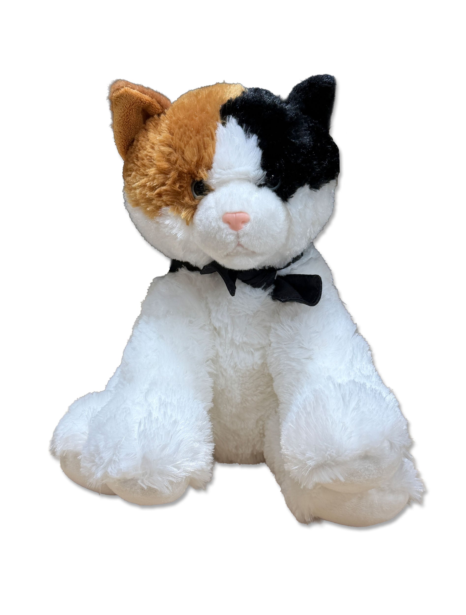 Esmeralda Cat with Bandana