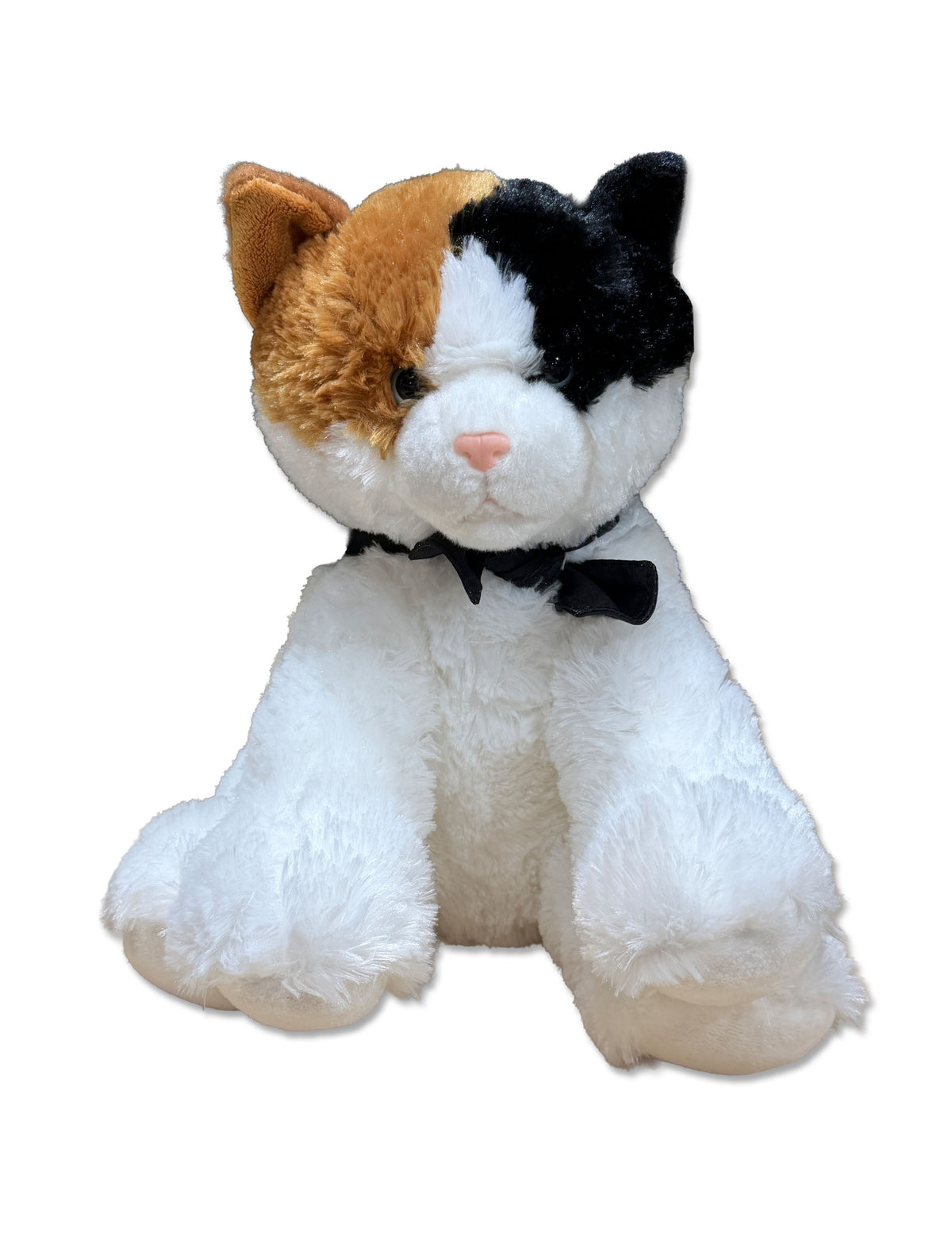 Esmeralda Cat with Bandana
