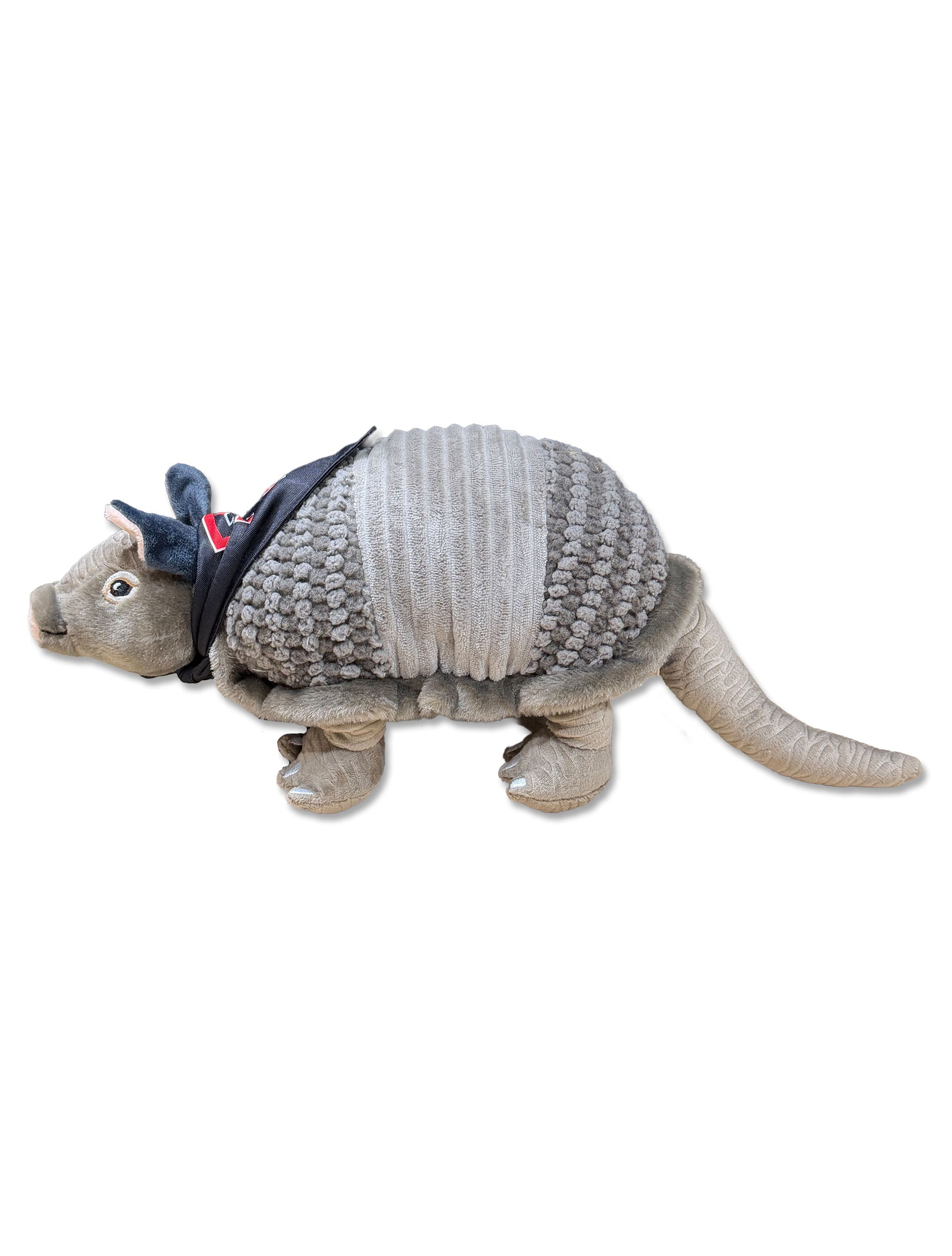Armadillo with Texas Tech Bandana - Side