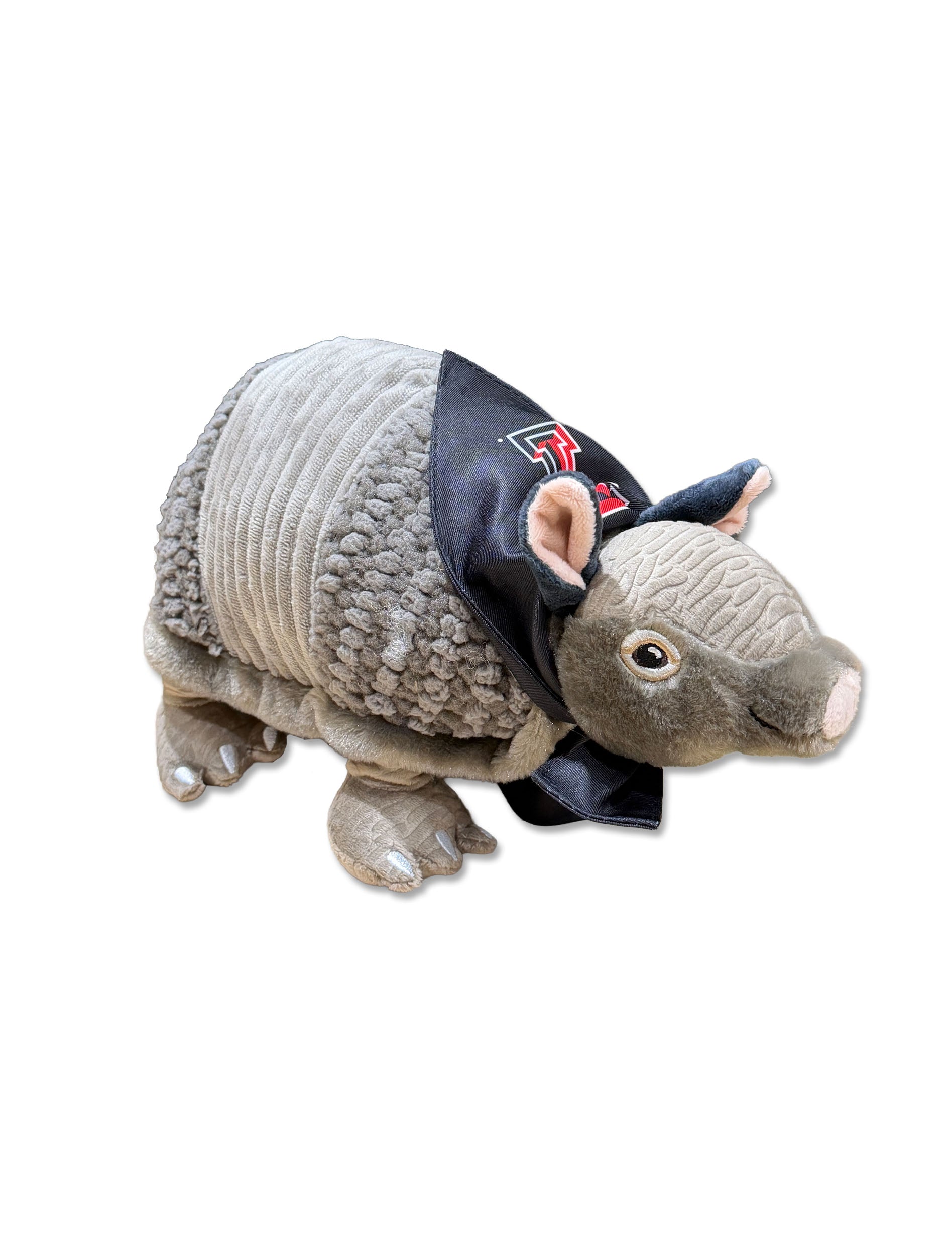 Armadillo with Texas Tech Bandana - Front