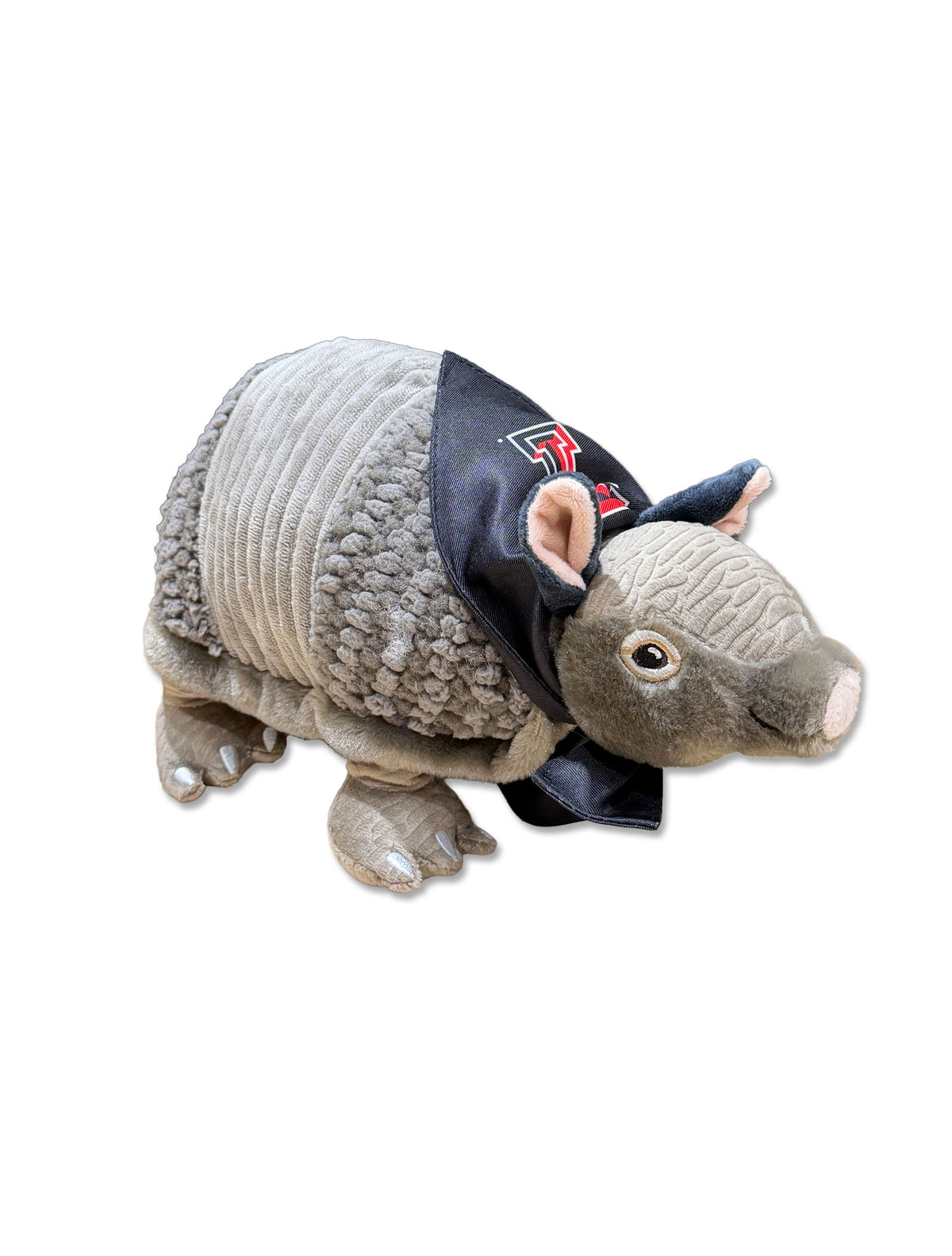 Armadillo with Texas Tech Bandana - Front