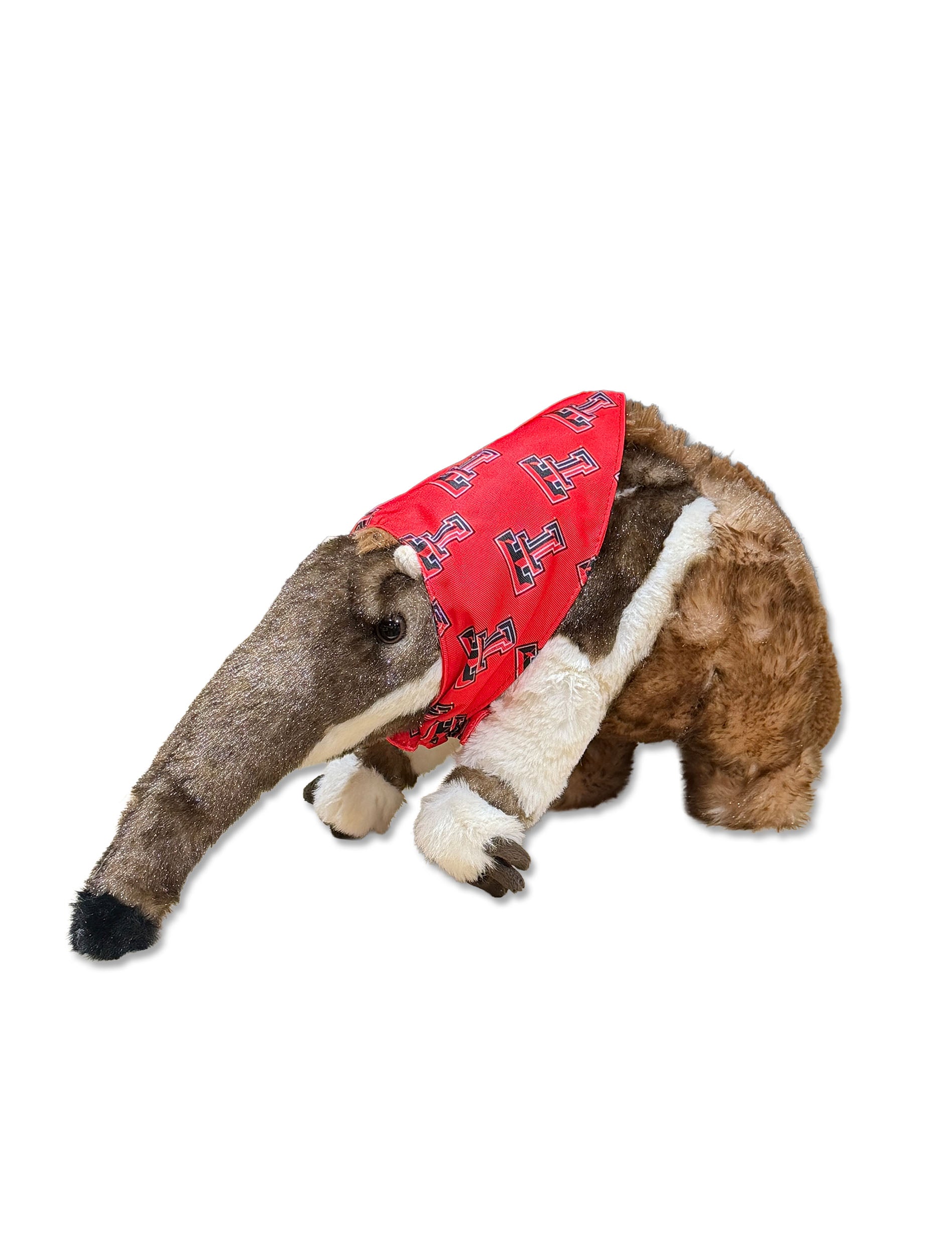 Texas Tech Anteater