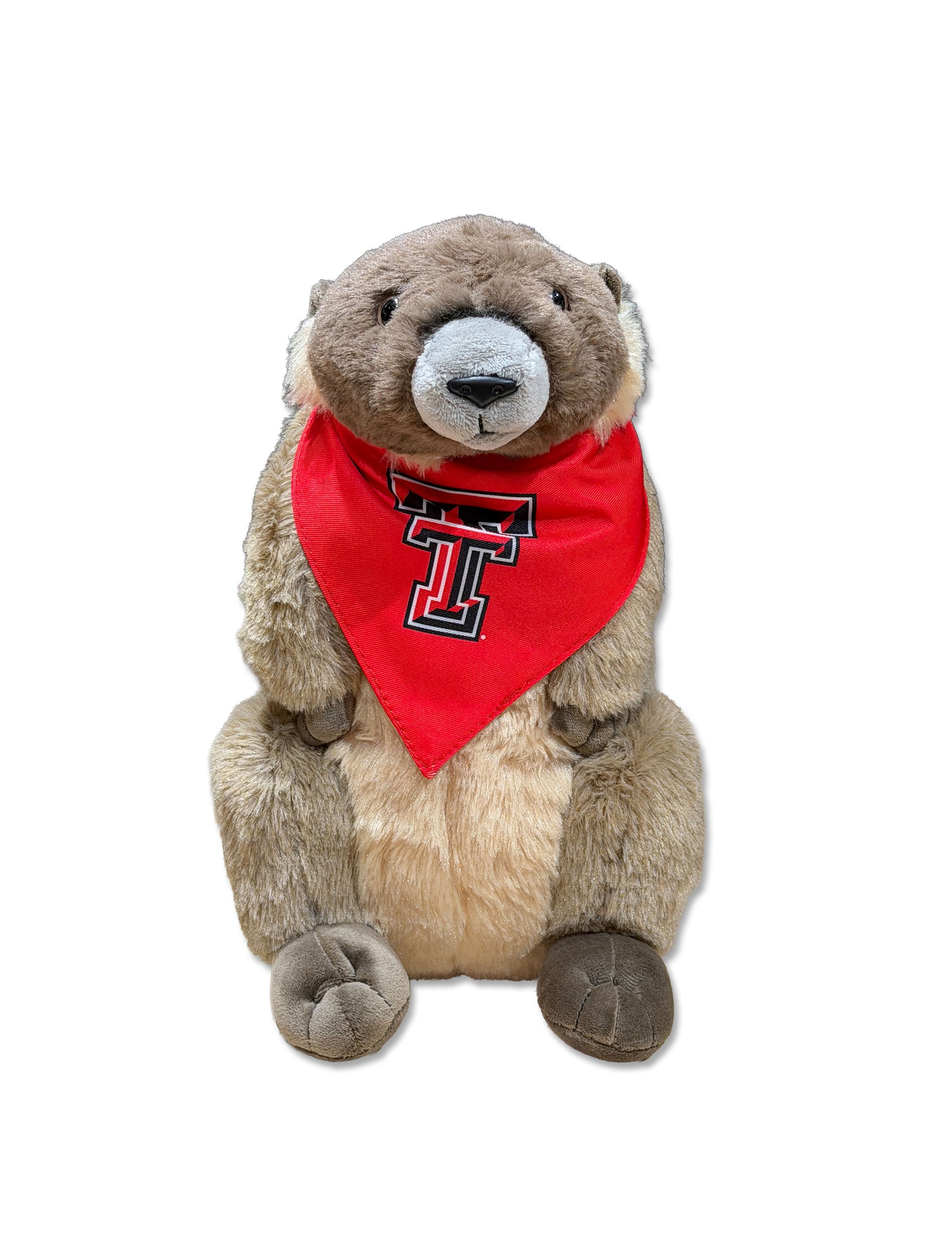 Texas Tech Prairie Dog