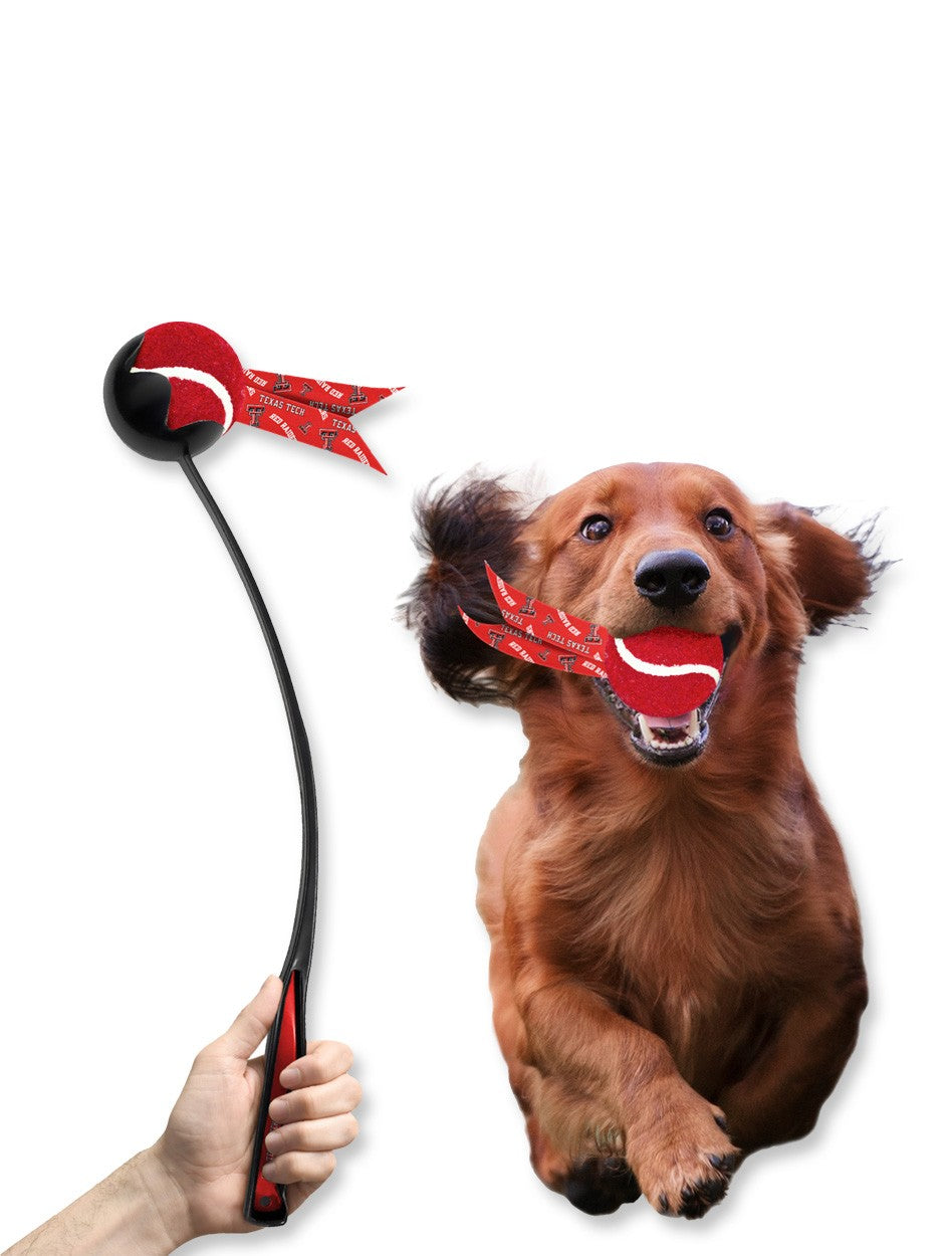 Texas Tech ACCESSORIES
Texas Tech Pet Accessories
Texas Tech New Products