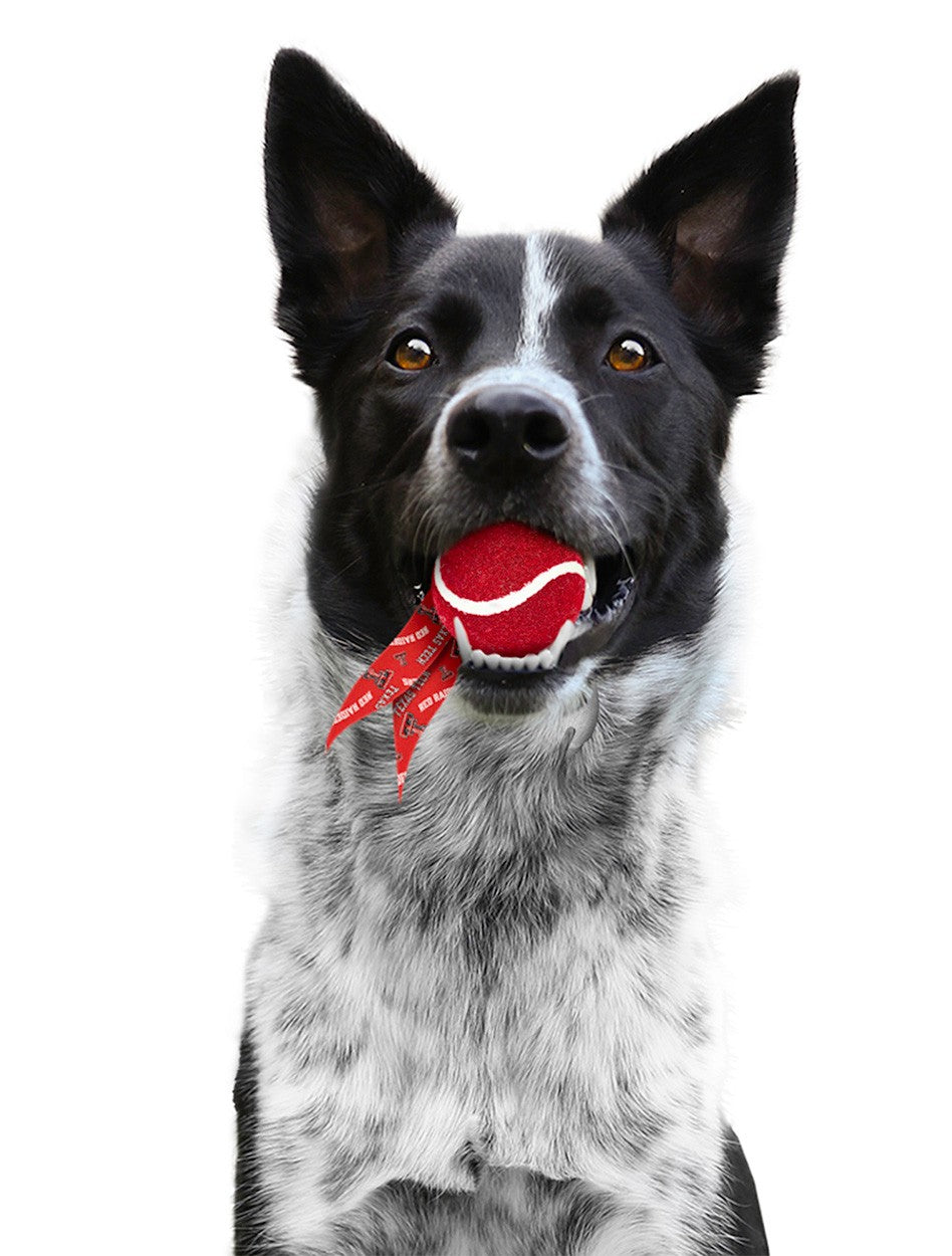 Texas Tech ACCESSORIES
Texas Tech Pet Accessories
Texas Tech New Products
