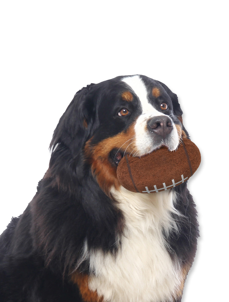 Texas Tech ACCESSORIES
Texas Tech Pet Accessories
Texas Tech New Products