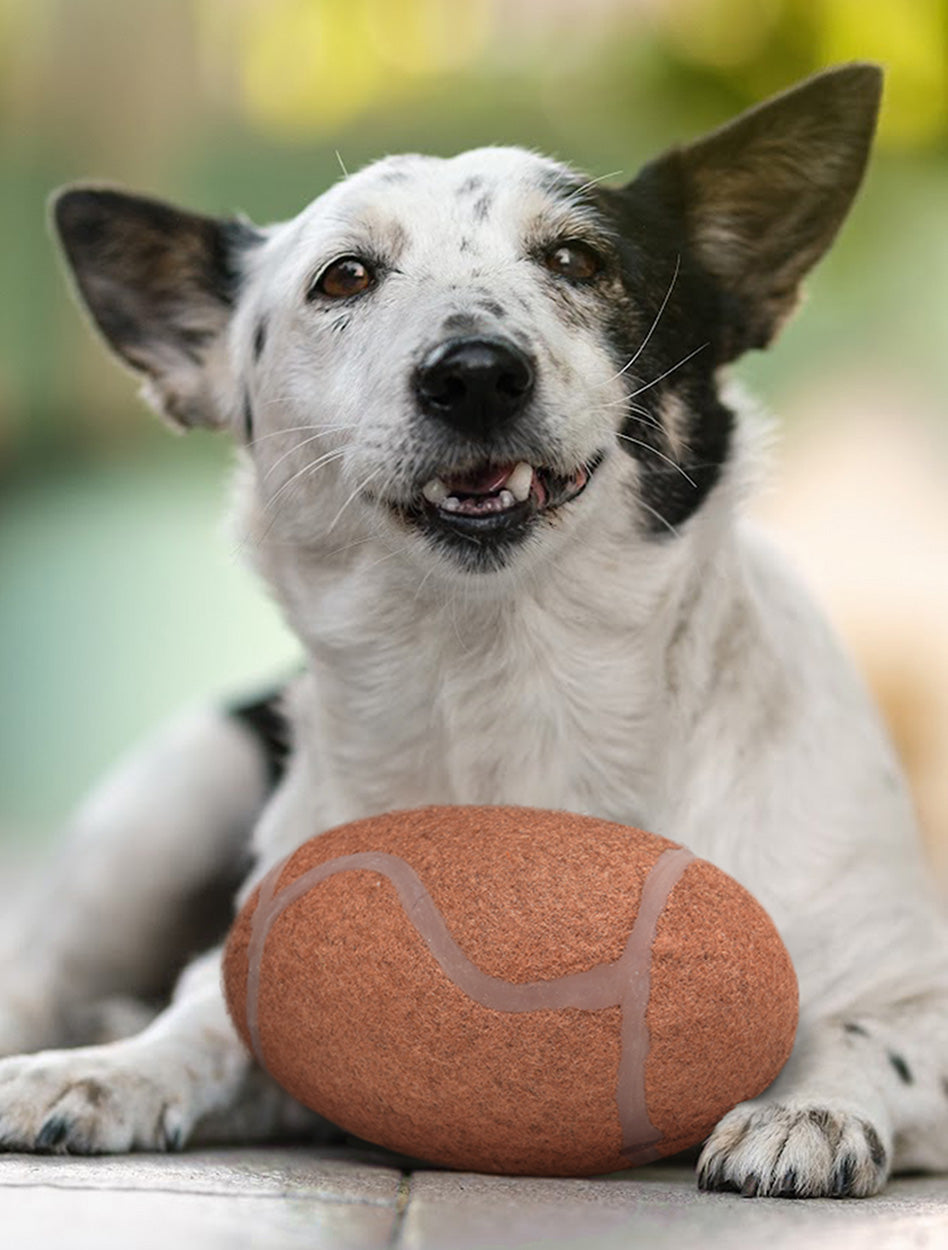 Texas Tech ACCESSORIES
Texas Tech Pet Accessories
Texas Tech New Products