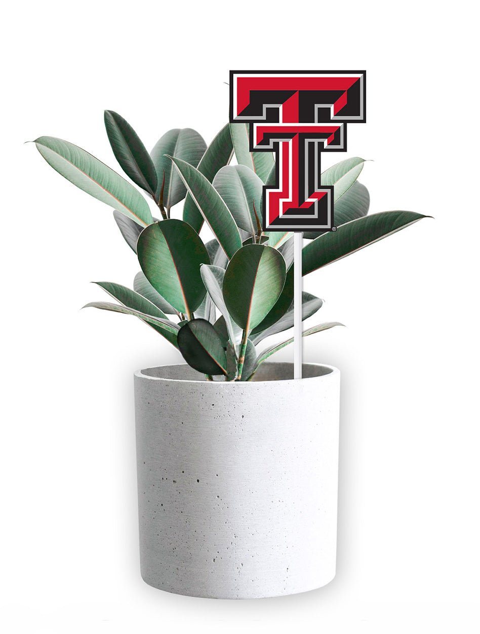 Texas Tech Double T 