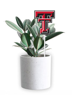 Texas Tech Double T "Flag Pop"