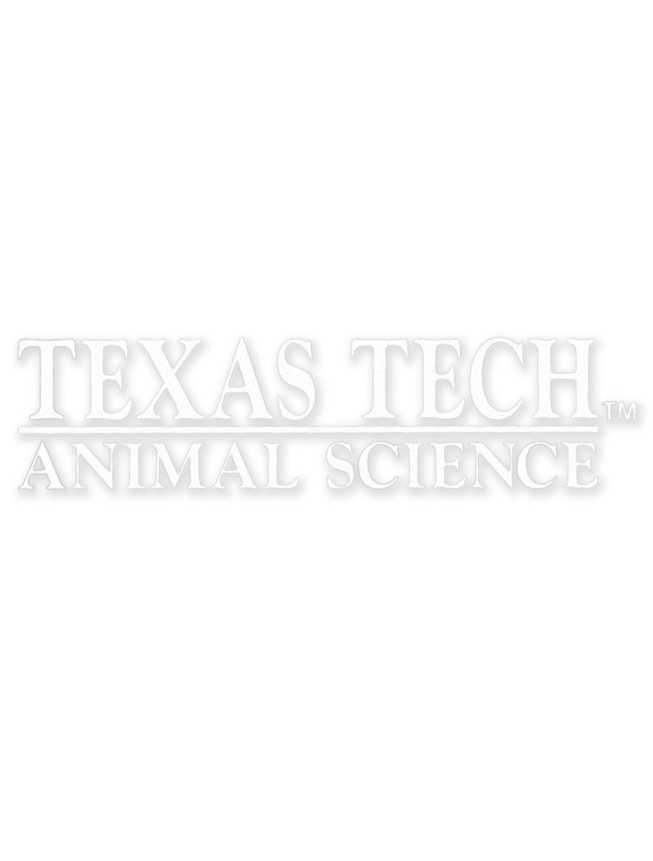 Texas Tech Animal Science Decal