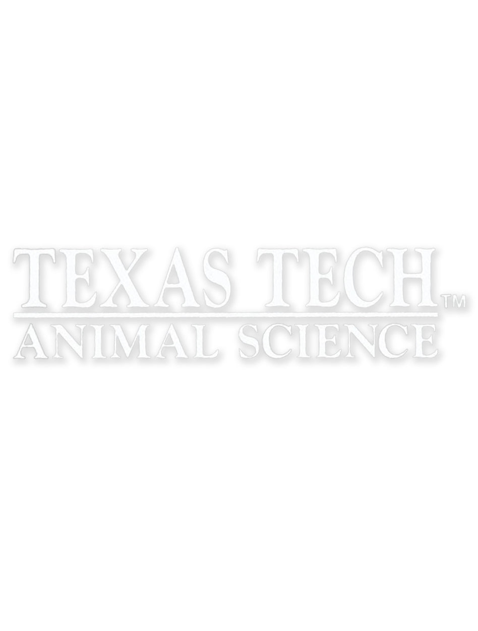Texas Tech Animal Science Decal