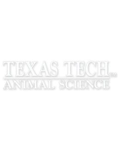Texas Tech Animal Science Decal