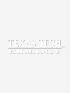 Texas Tech Biology White Decal
