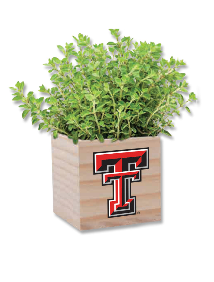 Texas Tech Double T Wooden Cube "Grow Your Own Blossom" Kit