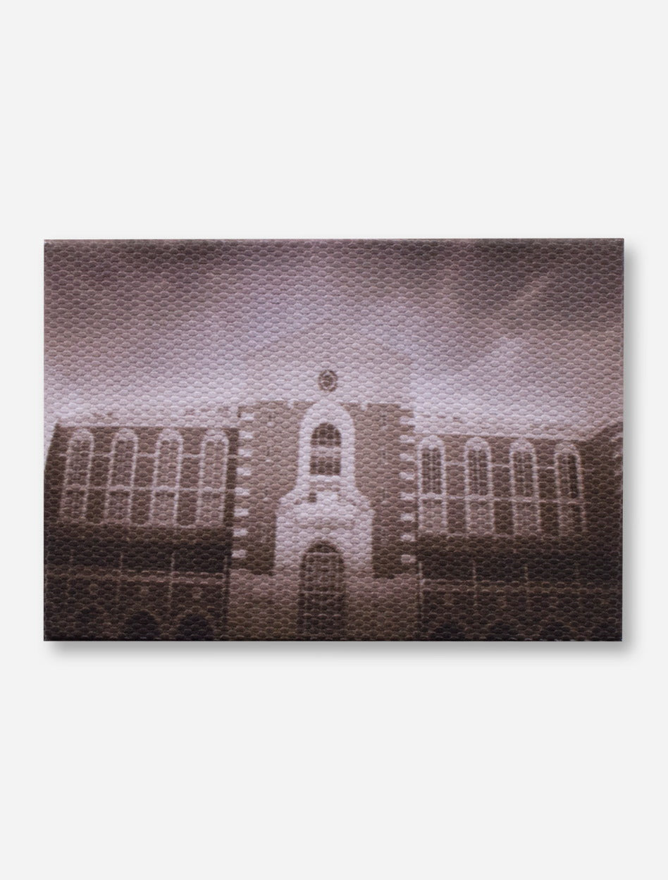 Texas Tech Stadium Magnet