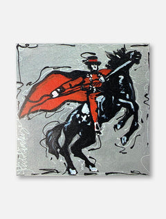 Texas Tech Red Raiders Masked Rider Magnet Decal